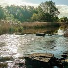 Zufluss Werdersee