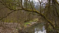 Zufluss zum Almsee