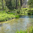 Zufluss zum Ammersee