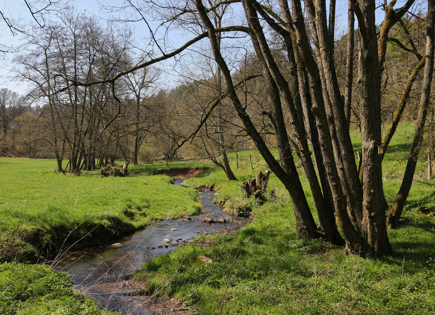 Zufluss zum Edersee (2019_04_15_EOS 100D_4446_ji)