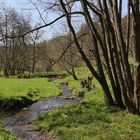 Zufluss zum Edersee (2019_04_15_EOS 100D_4446_ji)