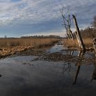 Zufluss zum Federsee