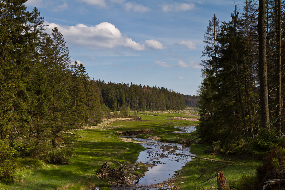 Zufluss zum Oderteich