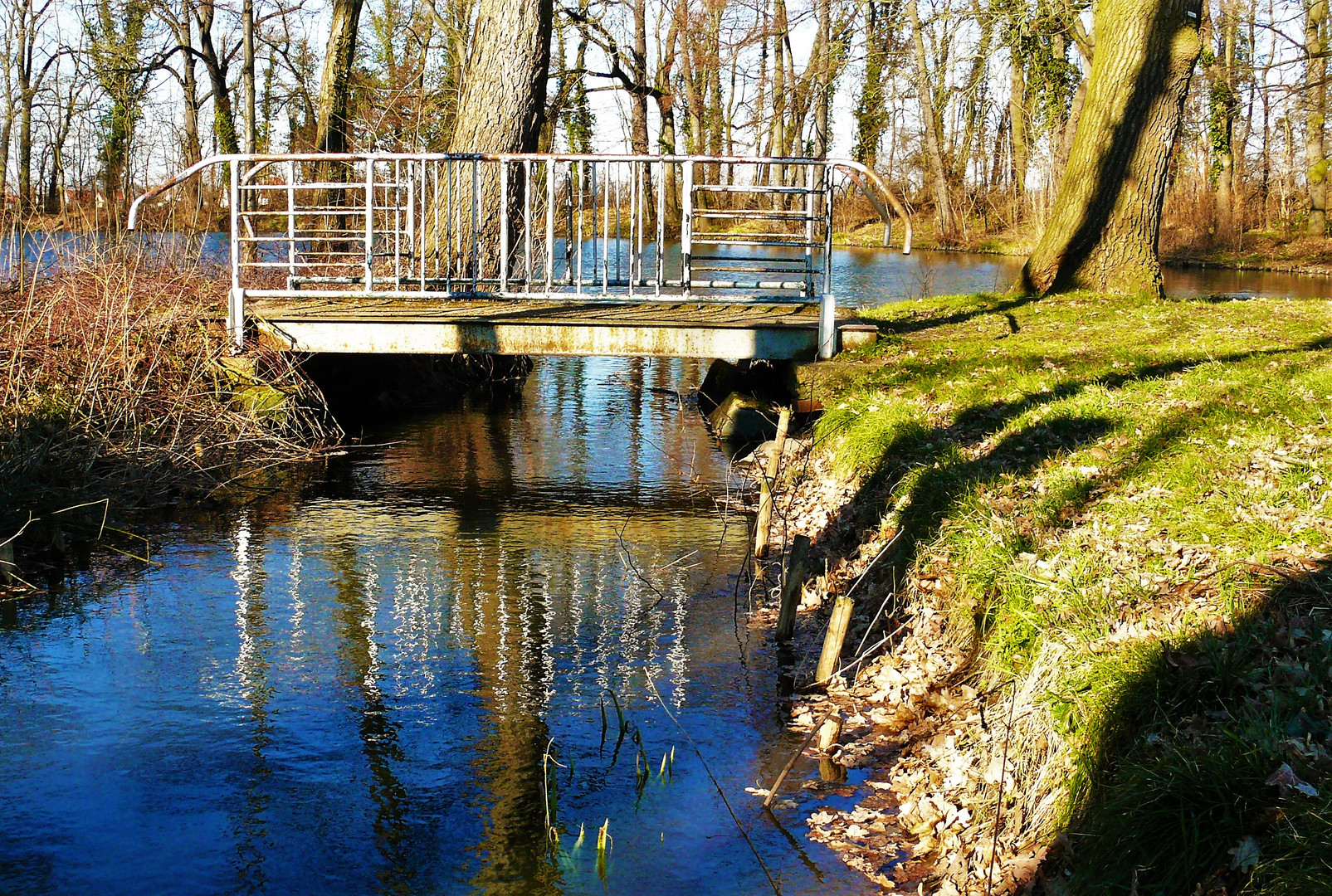 Zufluss zum Teich 