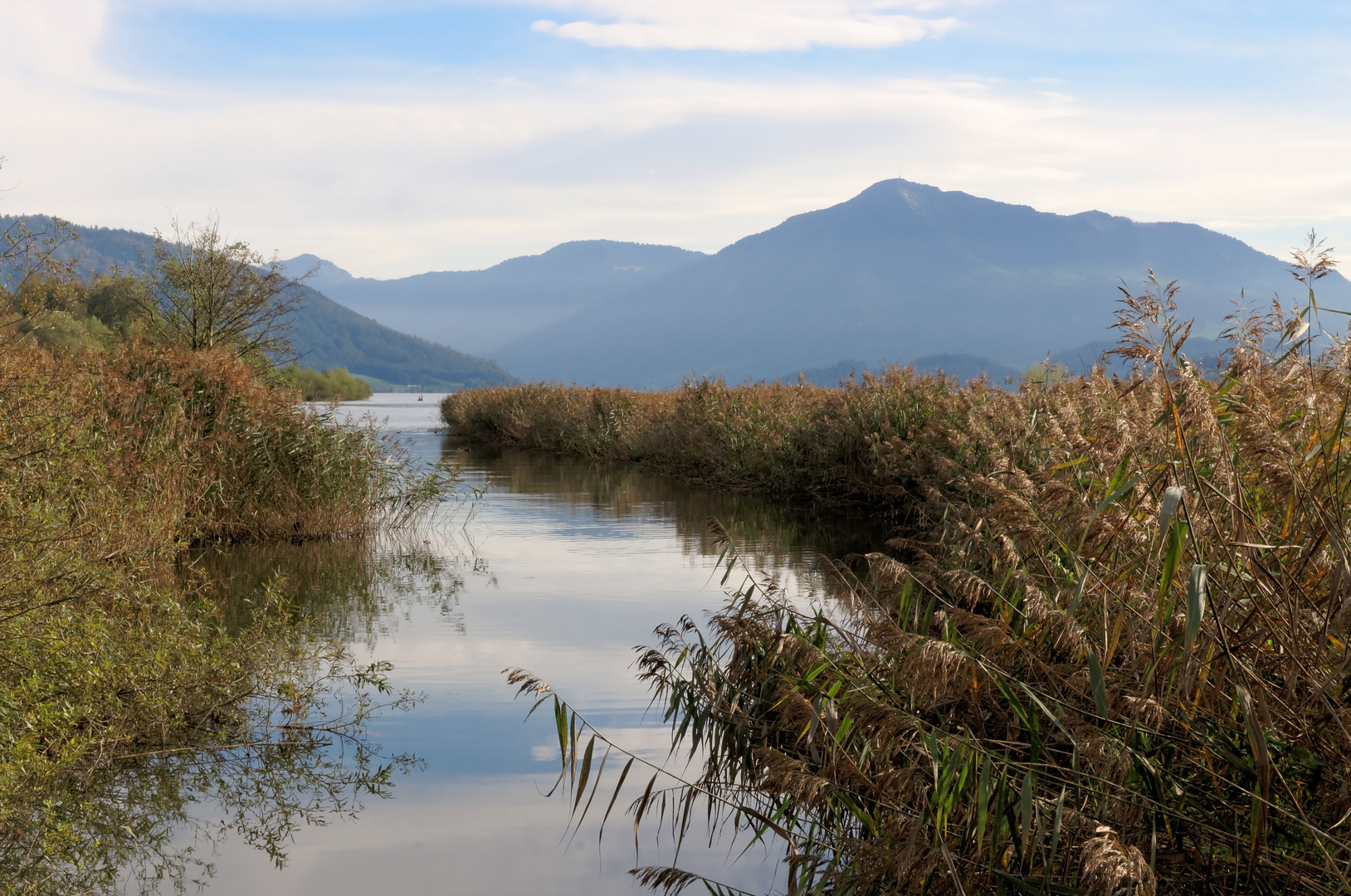 Zufluss zum Zugersee Foto & Bild landschaft, bach, fluss & see, see