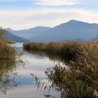 Zufluss zum Zugersee