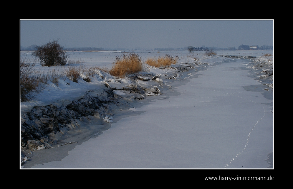 Zufluss zur Elbe