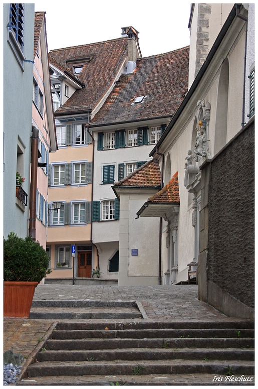 Zug (3)