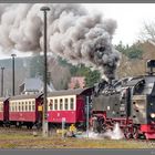 Zug 8904 hat Ausfahrt in Richtung Drei Annen Hohne