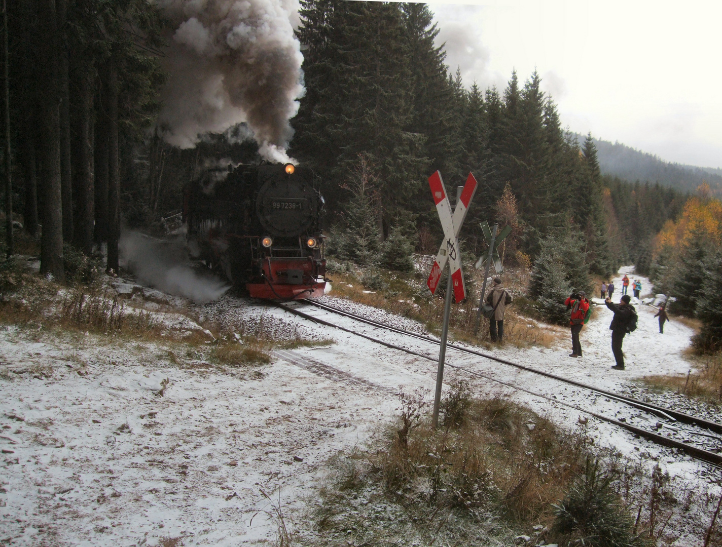 Zug 8933 Wernigerode - Brocken am Bahnübergang der alten Bobbahn in Schierke