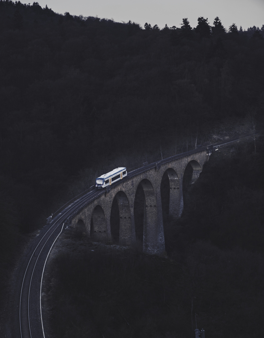 Zug auf dem Hubertusviadukt