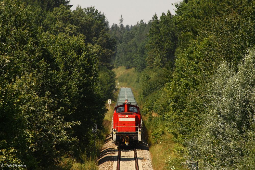 Zug aus dem Urwald