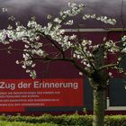 Zug der Erinnerung