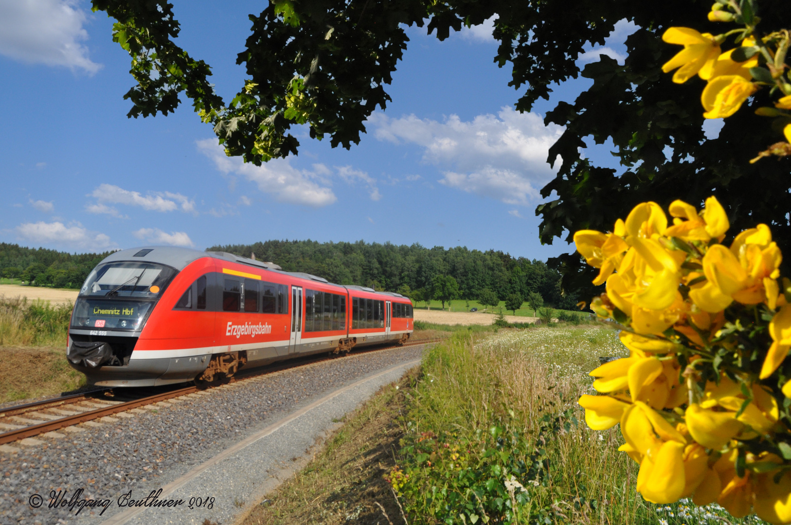 Zug der Erzgebirgsbahn