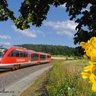 Zug der Erzgebirgsbahn