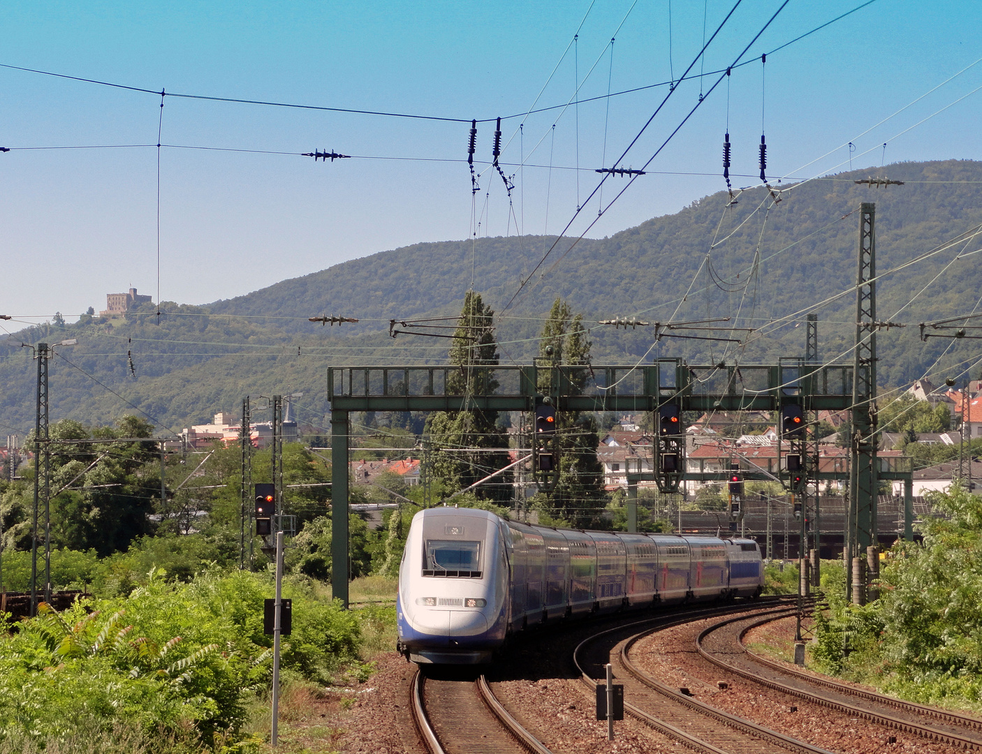 Zug der hohen Geschwindigkeit