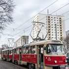 Zug des Straßenbahnmuseums in Dresden