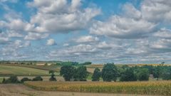 Zug durchs Weinviertel