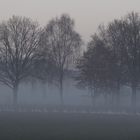 Zug im Nebel