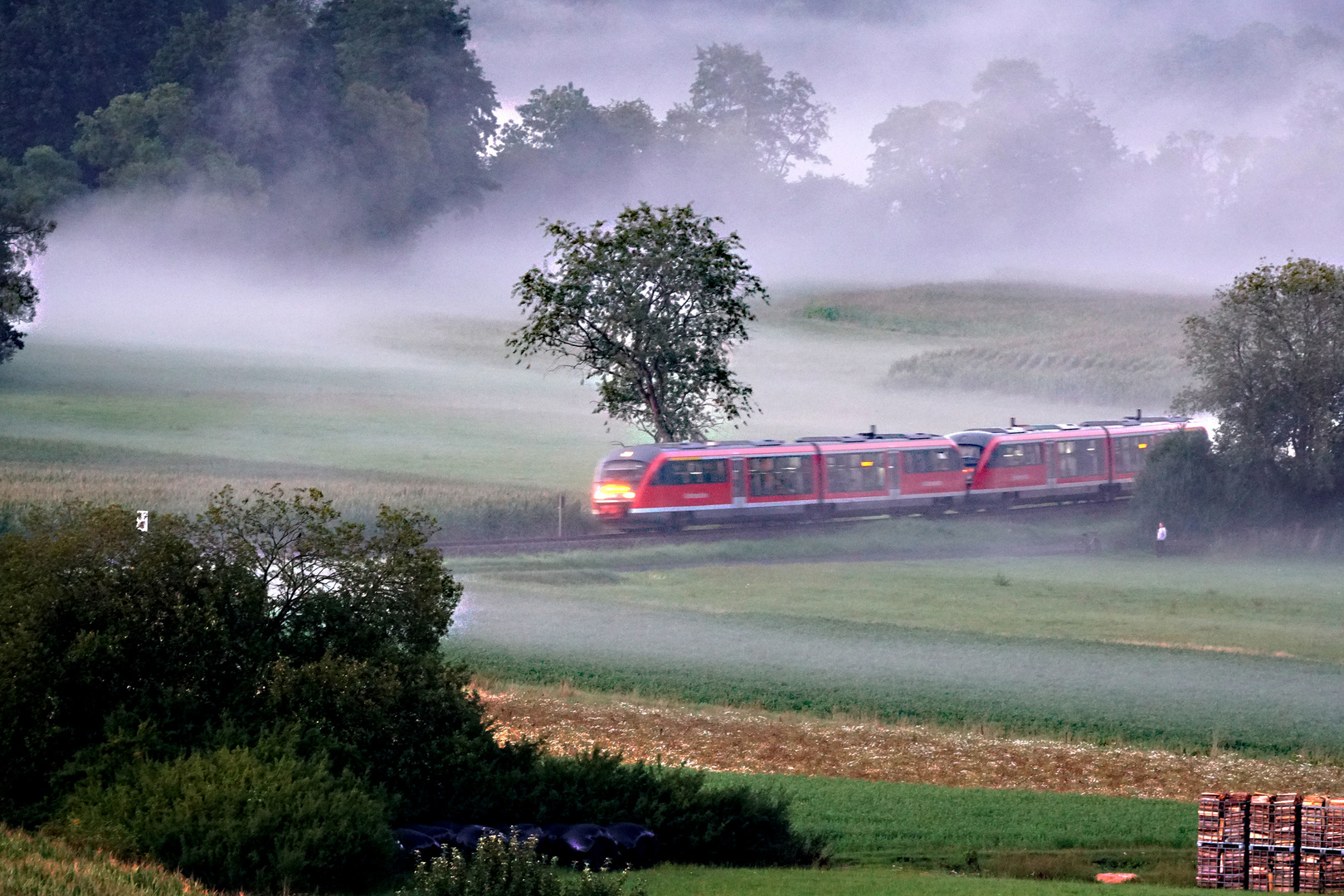 Zug im Nebel