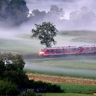 Zug im Nebel