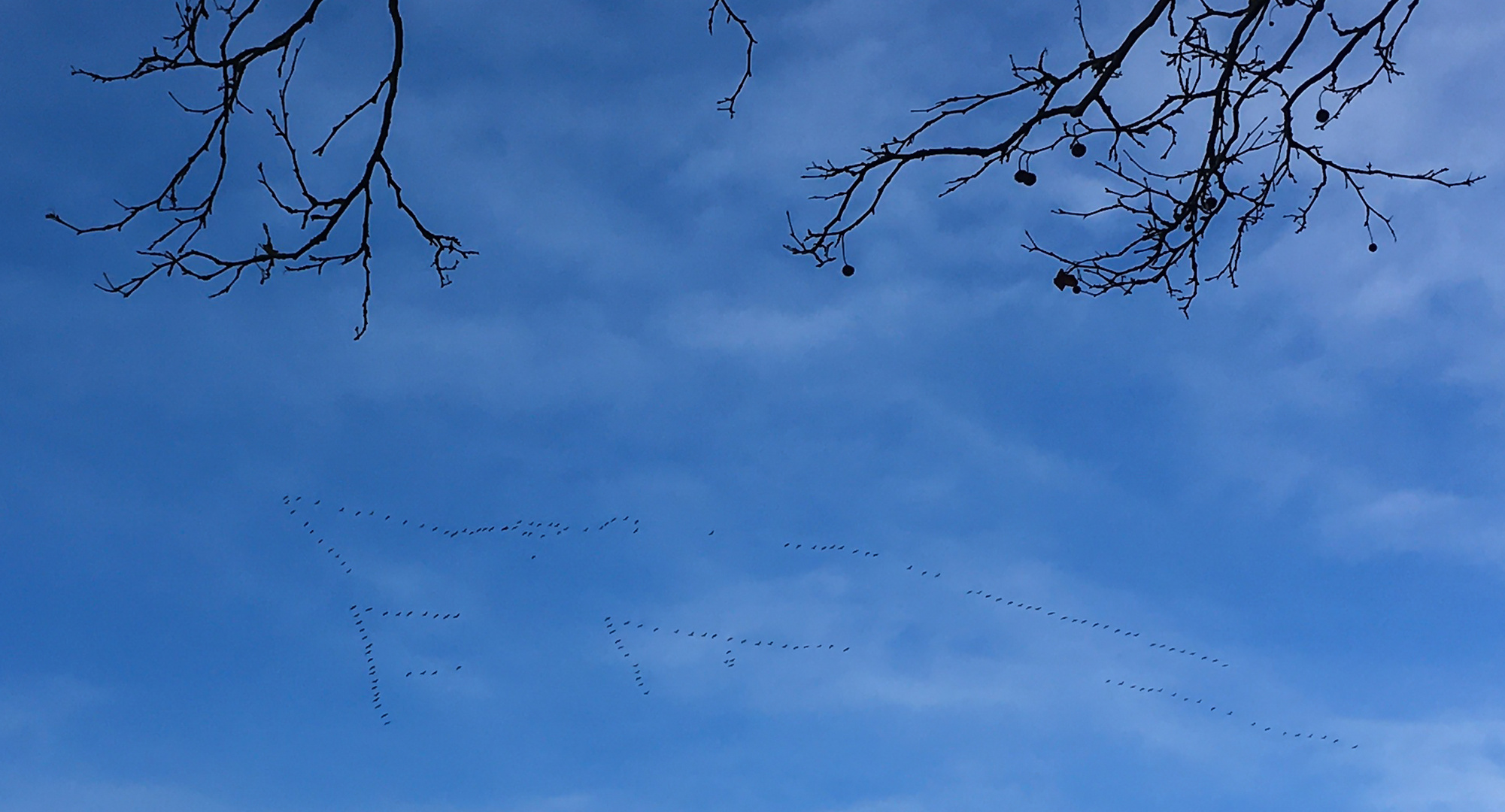 Zug in blau - mit etwas Verspätung