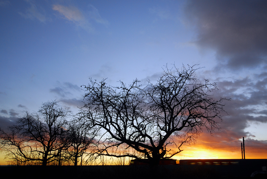 Zug in den Sonnenuntergang