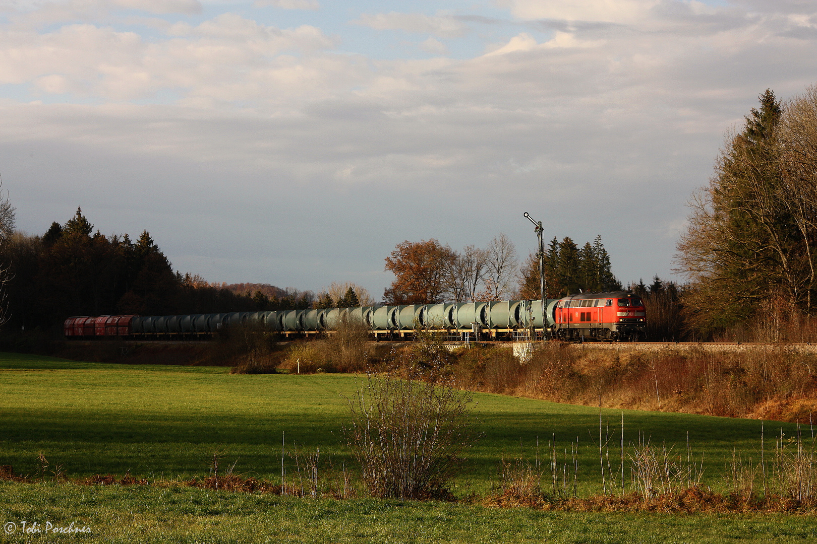 Zug in der Landschaft