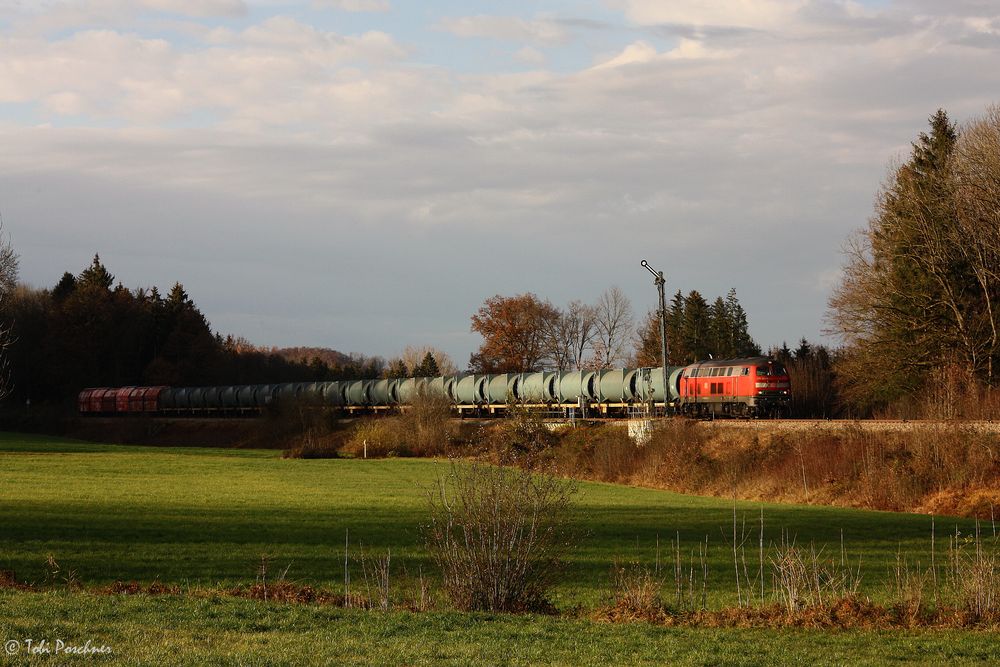 Zug in der Landschaft