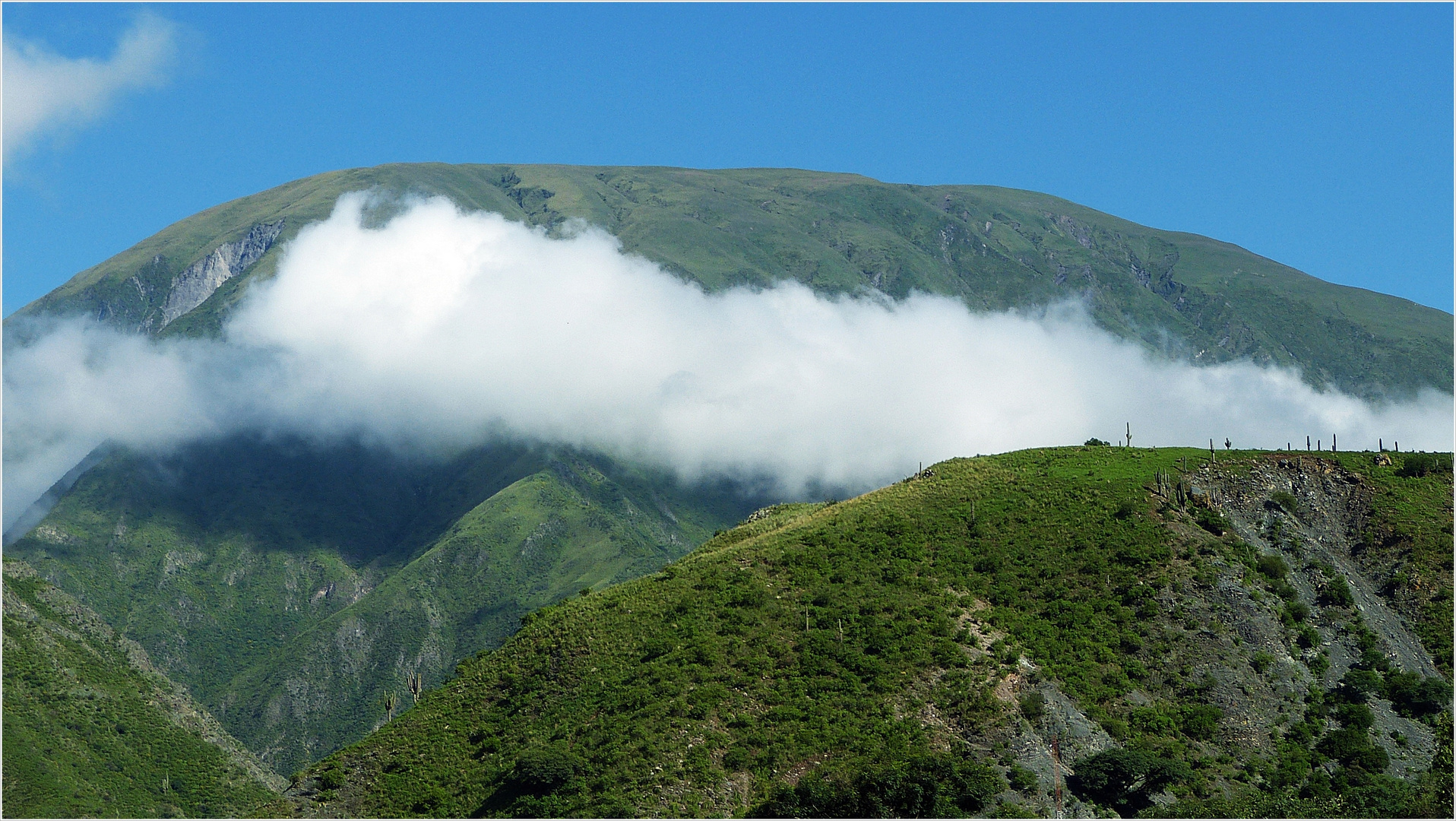 Zug in die Wolken................