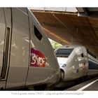 Zug mit großer Geschwindigkeit - TGV POS