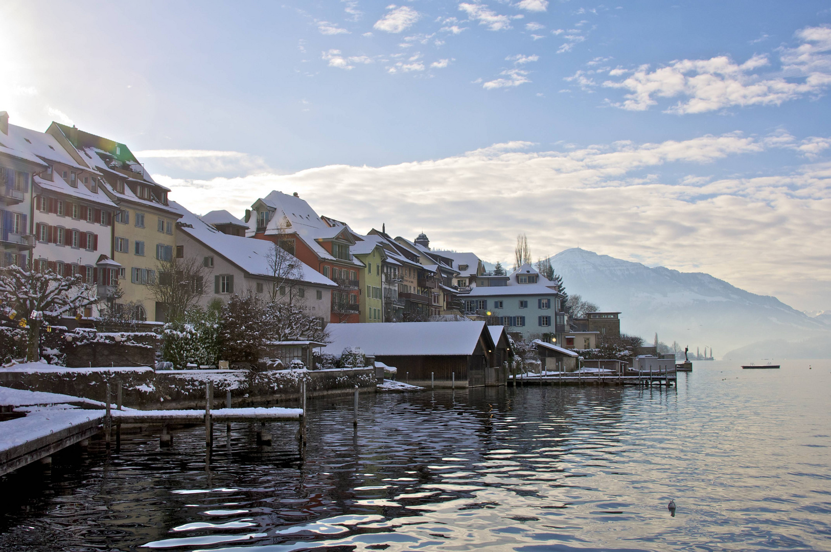 Zug mit Rigi