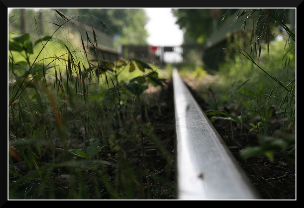 Zug nach Nirgendwo