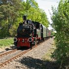 Zug nach Oberhavel Bauernmarkt