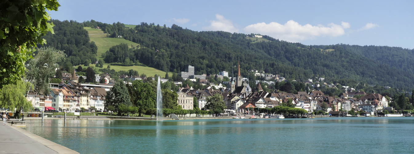 Zug Panorama aus 3 Fotos