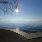 Zug, Sonne blendet durch die Baumäste