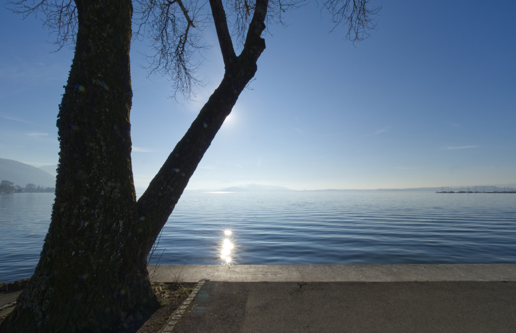 Zug Sonne hinter Baum