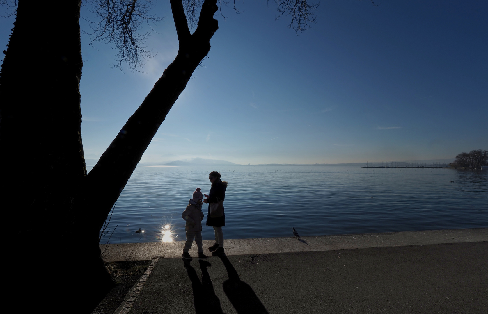 Zug, Sonnenuntergang, Menschen im Gegenlicht