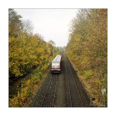 Zug von Wolfenbüttel nach Bad Harzburg