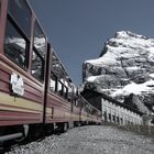 Zug zum Jungfraujoch