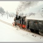 Zugabe - 74 1230 vor dem Sonderzug