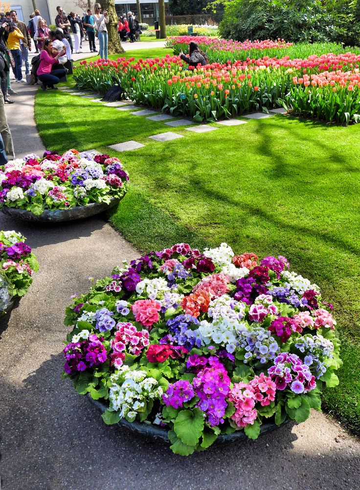 Zugabe aus dem Keukenhof