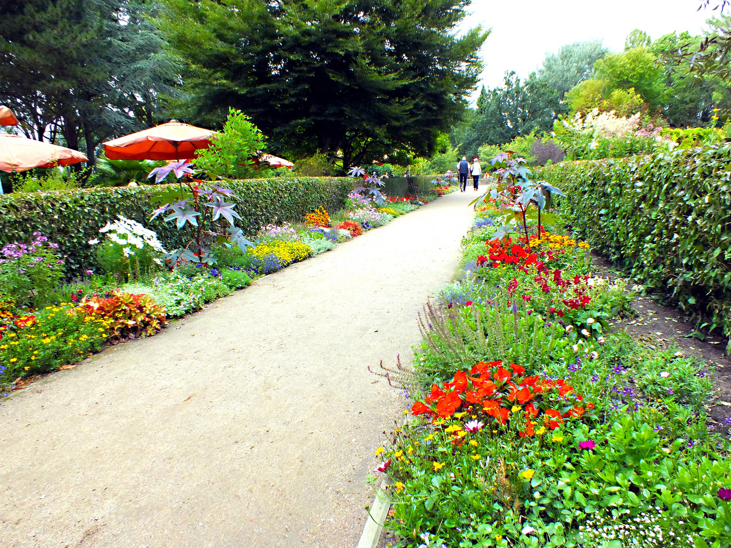 Zugang zum Lübecker Schulgarten