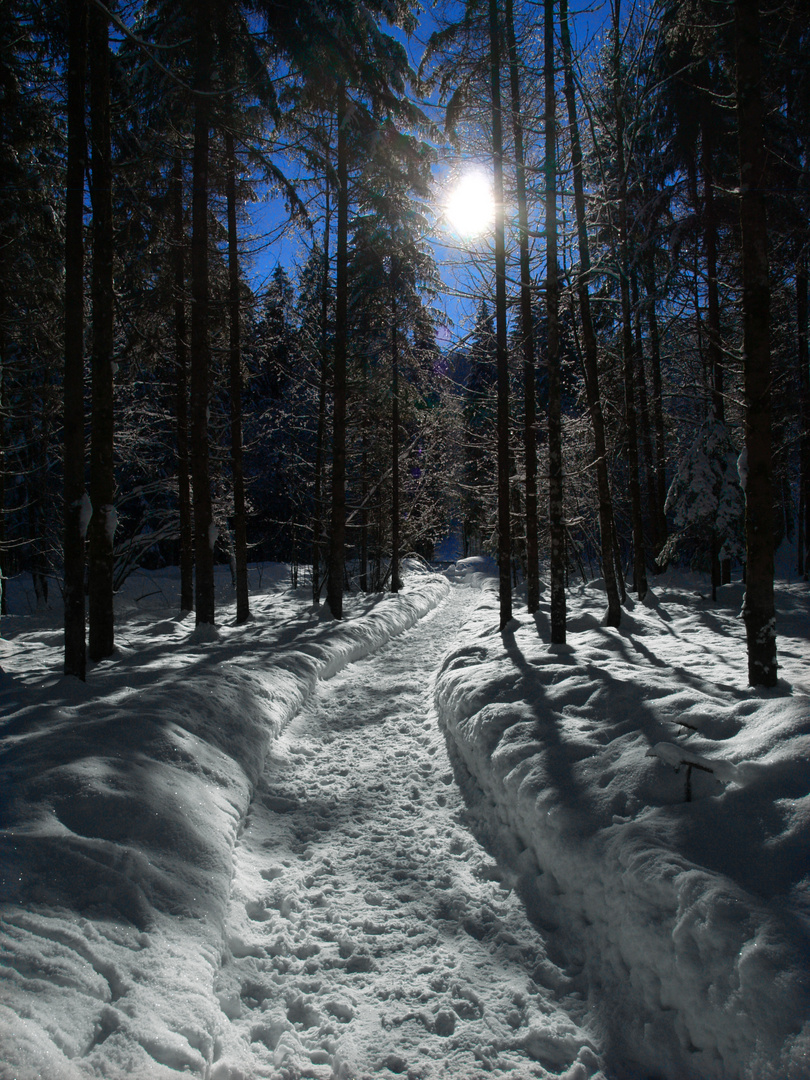 Zugang zur Breitachklamm Oberstdorf im Januar 2012