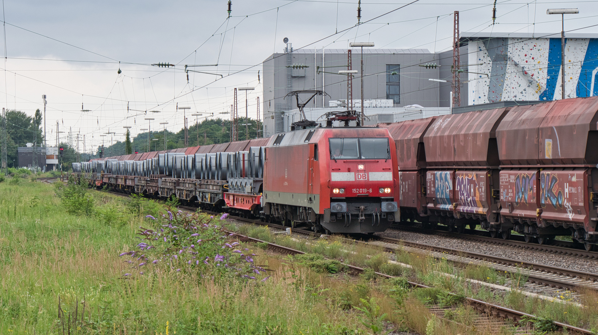 Zugbegegnung im Grünen