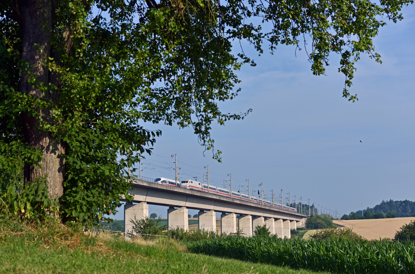 Zugbegegnung in der Provinz