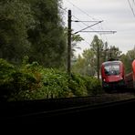 'Zugbegegnungen im Herbst'