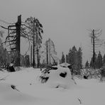 zugedeckt im Winterkleid