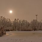 Zugefronerer See und (unbesetztes) Storchennest - V1