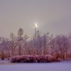 Zugefronerer See und (unbesetztes) Storchennest - V2